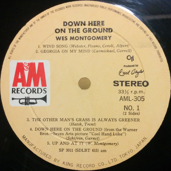 Down Here On The Ground