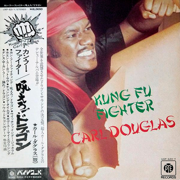Kung Fu Fighter
