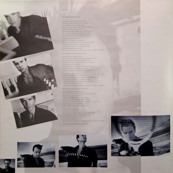 The Dream Of The Blue Turtles