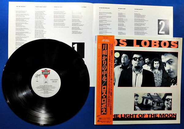 By The Light Of The Moon