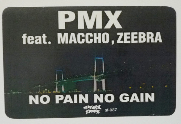 Master Release: No Pain No Gain by DJ PMX