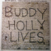 Buddy Holly - 20 Golden Greats (LP, Compilation) - Good Plus (G+) / Good Plus (G+)