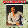 David Gates - Take Me Now (Vinyl, LP, Album) Very Good (VG) / Very Good Plus (VG+)