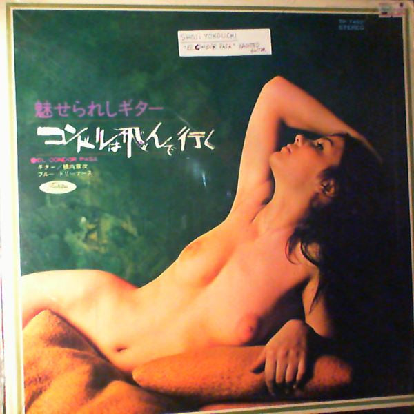 Master Release: Dynamic Guitar Mood Special by Shoji Yokouchi