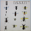 Syd Barrett - Barrett (Vinyl, LP, Album) Very Good Plus (VG+) / Very Good Plus (VG+)
