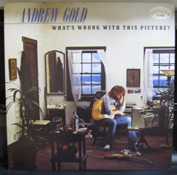 Release: What's Wrong With This Picture?-Vinyl-Japan-1977-P-10290Y-10014327
