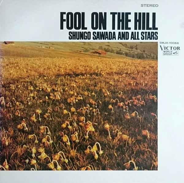 Fool On The Hill