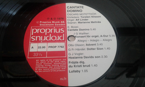Cantate Domino