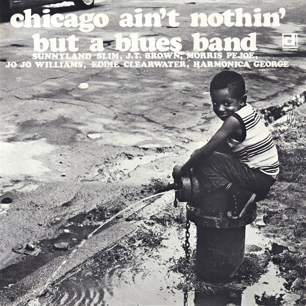 Release: Chicago Ain't Nothin' But A Blues Band-Vinyl-US-1988-PLP-376-26861879