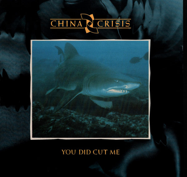 You Did Cut Me