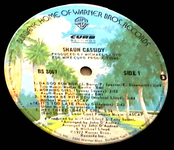 Shaun Cassidy