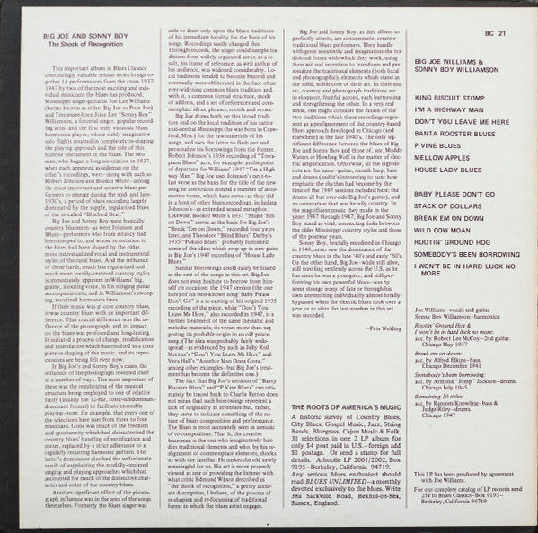 Big Joe Williams And Sonny Boy Williamson