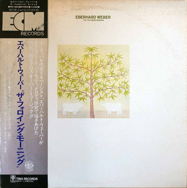 Release: The Following Morning-Vinyl-Japan-1977-PAP-9065-29005408