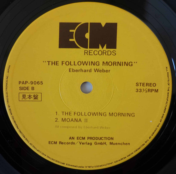 The Following Morning