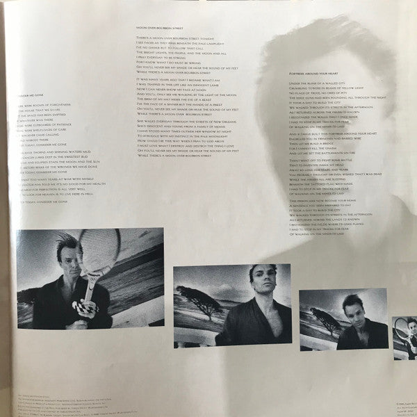 The Dream Of The Blue Turtles