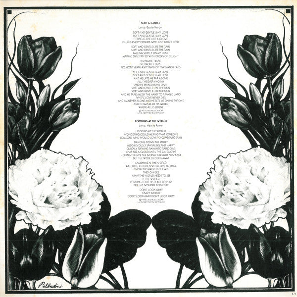 The Leprechaun = 妖精