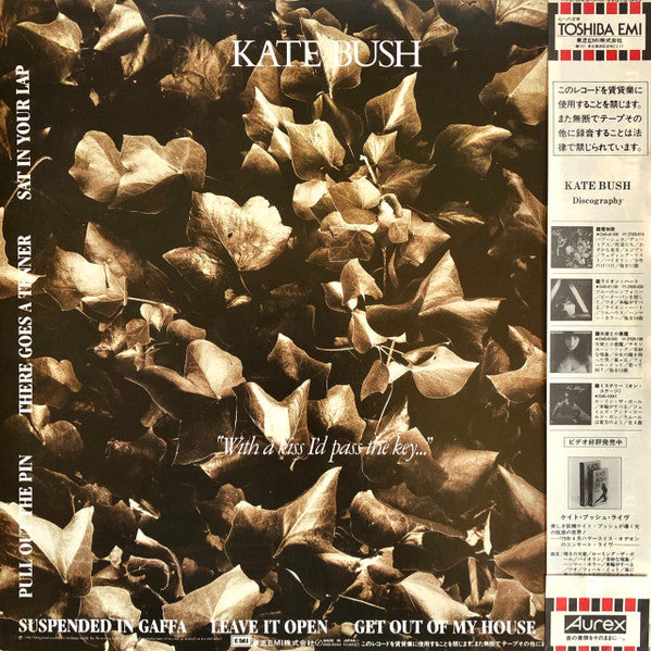 Release: The Dreaming-Vinyl-Japan-1982-EMS-91044-1548781