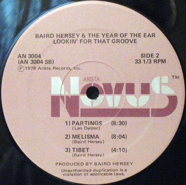 Lookin' For That Groove