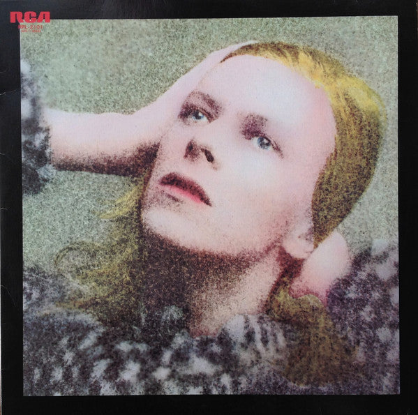 Hunky Dory = ハンキー・ドリー