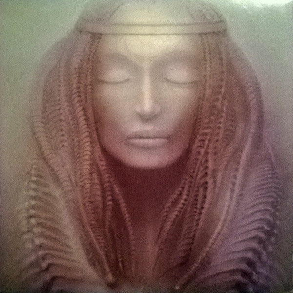 Brain Salad Surgery