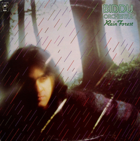 Release: Rain Forest-Vinyl-US-1976-PE 34230-3252937