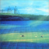 Rainbow (17) - Crystal Green (LP, Album) - Very Good (VG) / Very Good (VG)