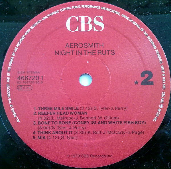 Night In The Ruts