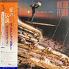 Wilton Felder - We All Have A Star (LP, Album) - Very Good Plus (VG+) / Very Good Plus (VG+)