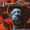 Junior Delgado - RaggaMuffin Year (Vinyl, LP, Album) Very Good (VG) / Very Good (VG)