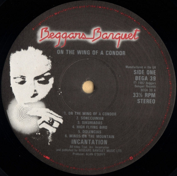 On The Wing Of A Condor