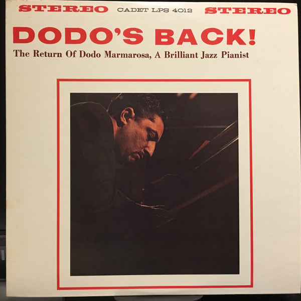 Dodo's Back