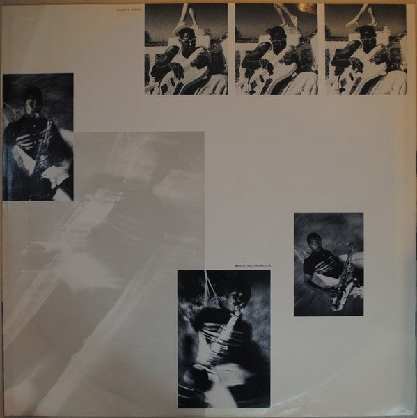 The Dream Of The Blue Turtles