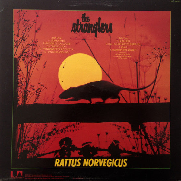 Stranglers IV (Rattus Norvegicus)