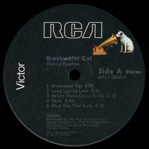 Breakwater Cat