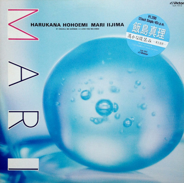 遥かな微笑み 〜黄土高原〜 = Harukana Hohoemi