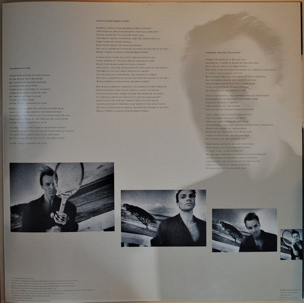 The Dream Of The Blue Turtles