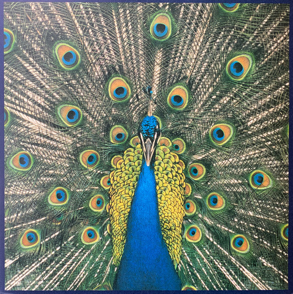 Master Release: Expecting To Fly by The Bluetones