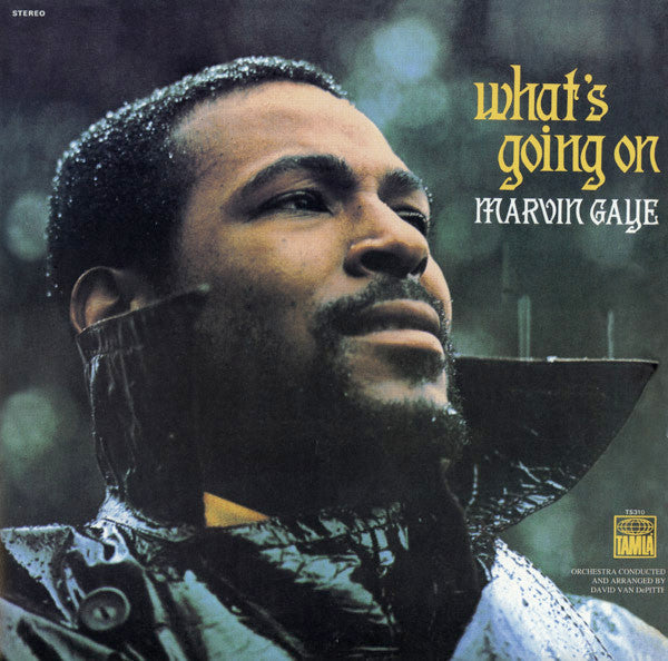 Release: What's Going On-Vinyl-US-2008-TS310-1248264