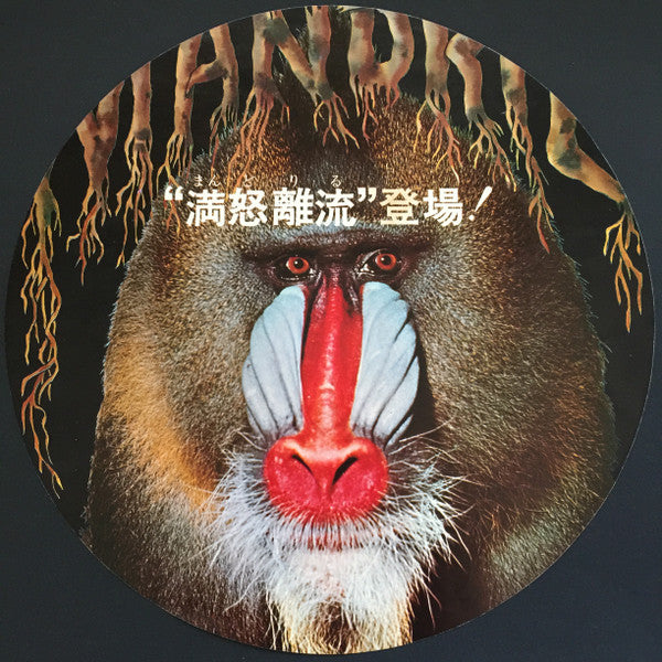 Battle Of The Who & Jimi Hendrix