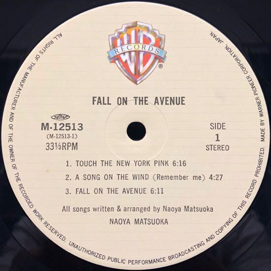 Fall On The Avenue = 見知らぬ街で
