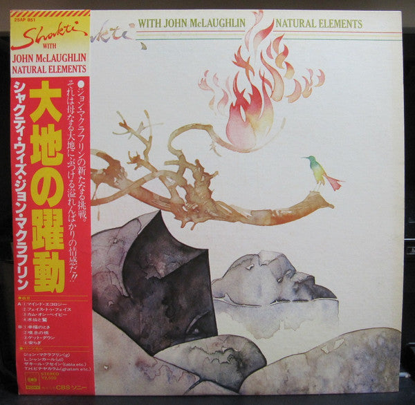 Release: Natural Elements-Vinyl-Japan-1977-25AP 851-2711246
