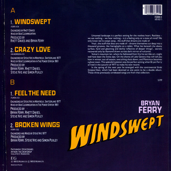 Release: Windswept-Vinyl-UK-1985-FERRX 3, 883 652-1-1196920
