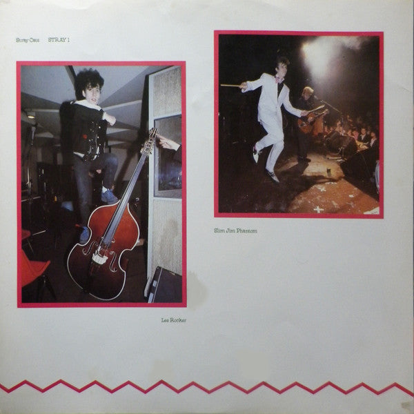 Stray Cats