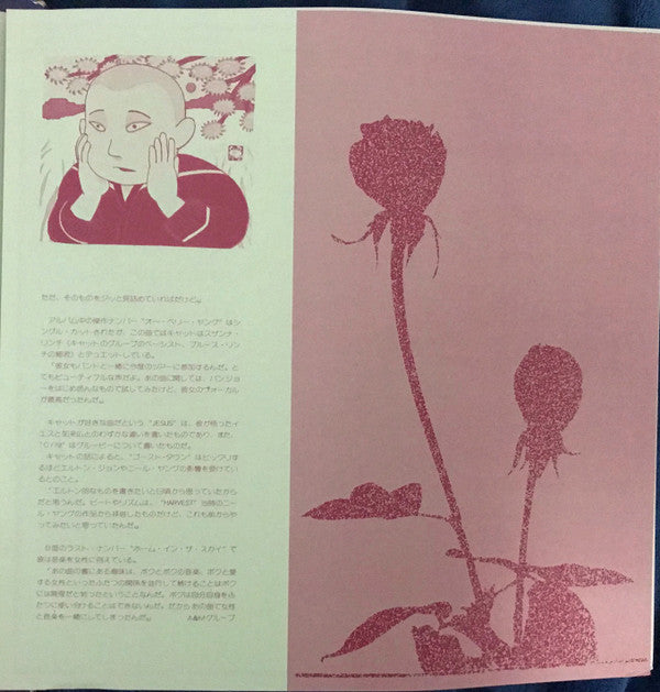 Buddha And The Chocolate Box