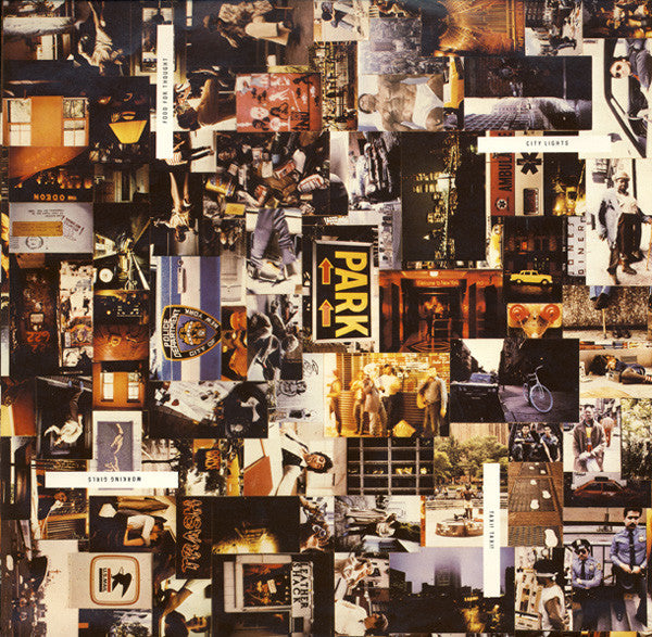 Windows In The Jungle