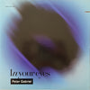 Peter Gabriel - In Your Eyes (Vinyl, 12