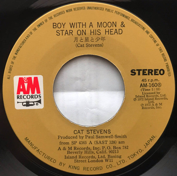 人生はさすらい = Sitting / 月と星と少年 = The Boy With A Moon & Star On His Head