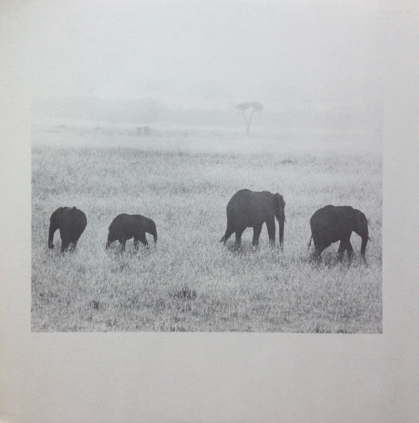 Masailand = マサイランド