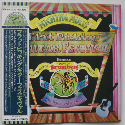 Master Release: Flat Picking Guitar Festival by Various