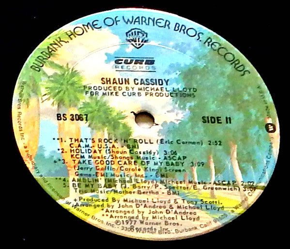 Shaun Cassidy